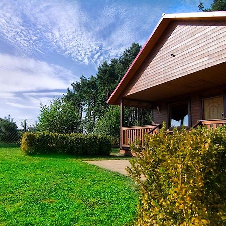 Zacisze Pod Laskiem Karwieńskie Błoto Exteriér fotografie